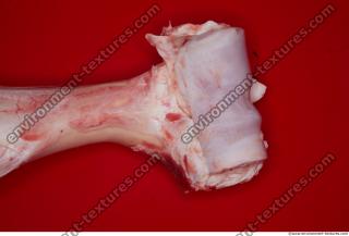 Photo Textures of RAW Bones Beef